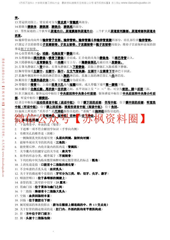 人体解剖学